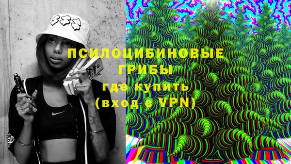 дживик Вязники