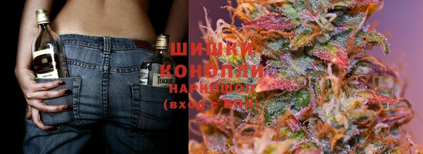 дмт Вязьма