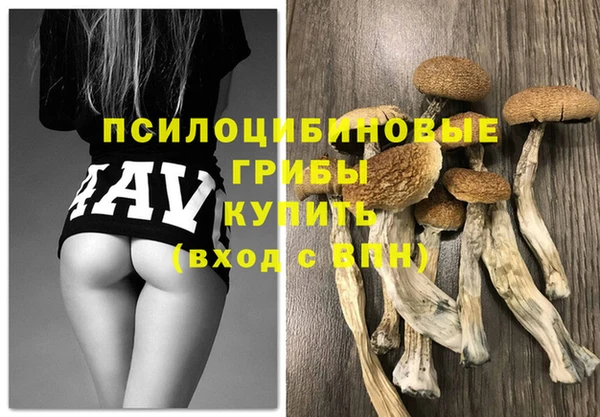 дживик Вязники