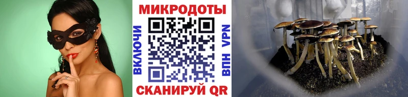 Псилоцибиновые грибы Magic Shrooms  Набережные Челны 
